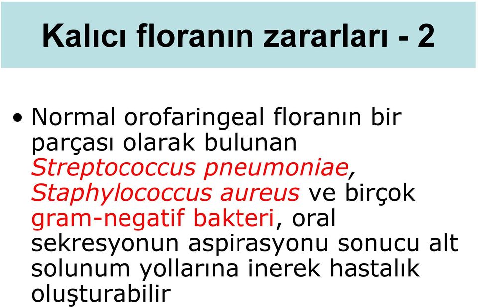 aureus ve birçok gram-negatif bakteri, oral sekresyonun