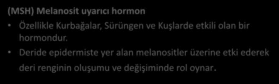 Ara lop (MSH) Melanosit uyarıcı hormon Özellikle Kurbağalar, Sürüngen ve Kuşlarde etkili olan bir hormondur.