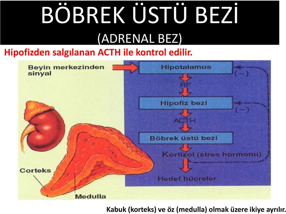 kontrol edilir.