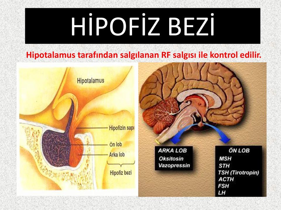 tarafından