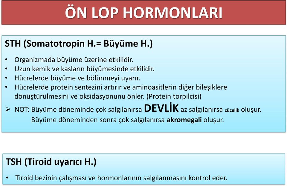 Hücrelerde protein sentezini artırır ve aminoasitlerin diğer bileşiklere dönüştürülmesini ve oksidasyonunu önler.