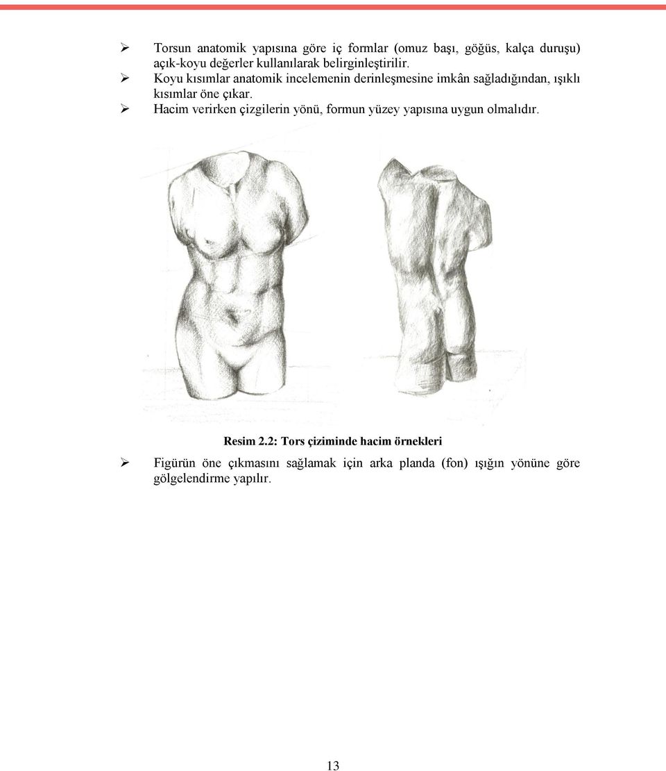 Koyu kısımlar anatomik incelemenin derinleşmesine imkân sağladığından, ışıklı kısımlar öne çıkar.