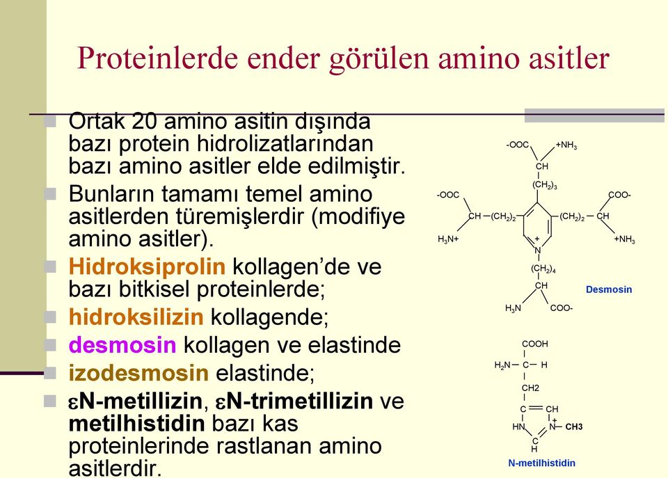 Hidroksiprolin kollagen de ve bazı bitkisel proteinlerde; hidroksilizin kollagende; desmosin kollagen ve elastinde izodesmosin elastinde; N-metillizin,