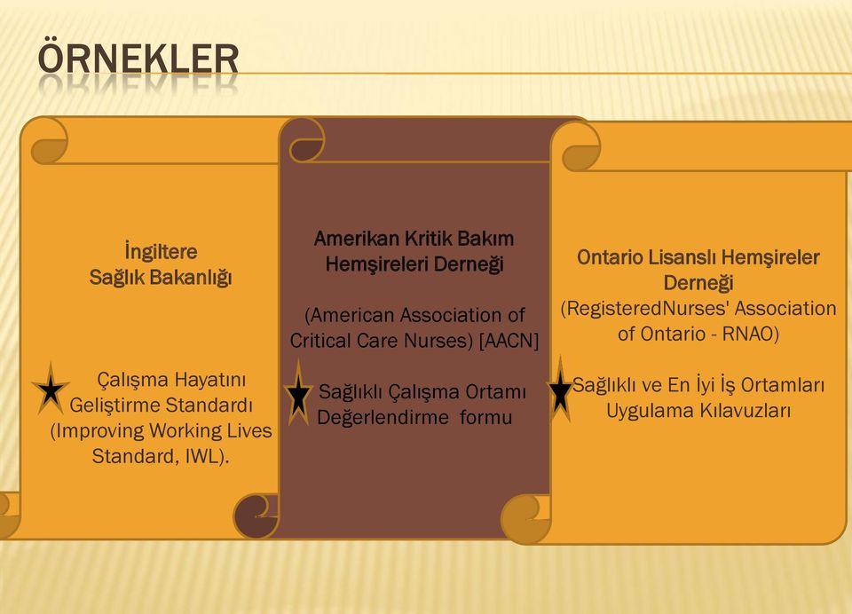 Amerikan Kritik Bakım Hemşireleri Derneği (American Association of Critical Care Nurses) [AACN]