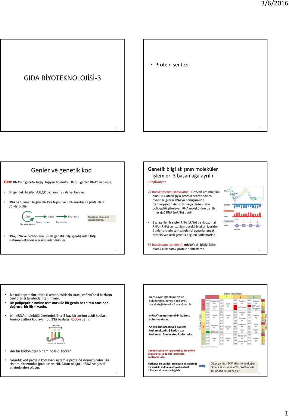 DNA da bulunan bilgiler RNA ya taşınır ve RNA aracılığı ile proteinlere dönüştürülür DNA, RNA ve proteinlerin 3 ü de genetik bilgi içerdiğinden bilgi makromolekülleri olarak isimlendirilirler.