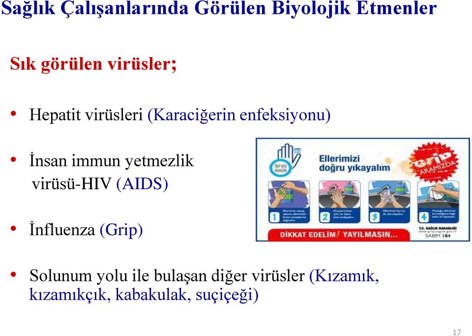 immun yetmezlik virüsü-hiv (AIDS) İnfluenza (Grip) Solunum yolu