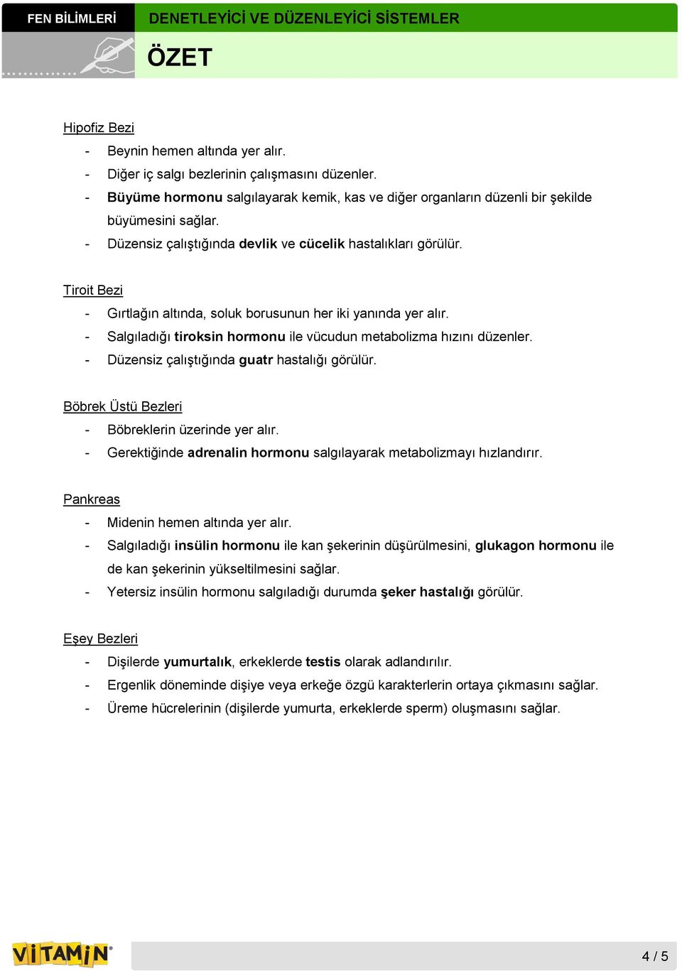 - Salgıladığı tiroksin hormonu ile vücudun metabolizma hızını düzenler. - Düzensiz çalıştığında guatr hastalığı görülür. Böbrek Üstü Bezleri - Böbreklerin üzerinde yer alır.