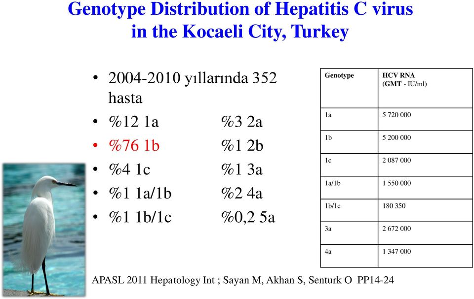 Genotype HCV RNA (GMT - IU/ml) 1a 5 720 000 1b 5 200 000 1c 2 087 000 1a/1b 1 550 000