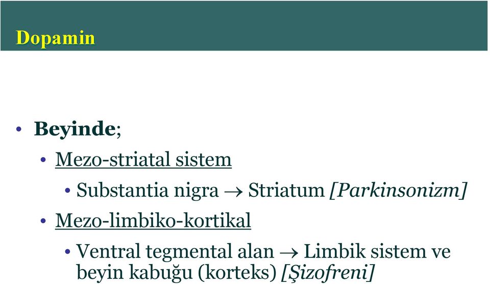 Mezo-limbiko-kortikal Ventral tegmental