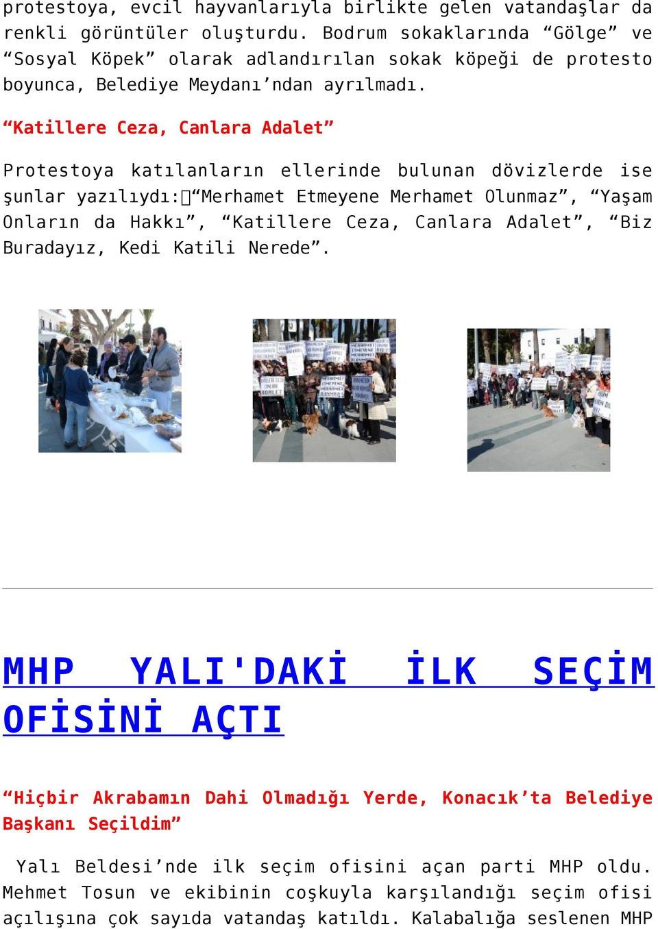 Katillere Ceza, Canlara Adalet Protestoya katılanların ellerinde bulunan dövizlerde ise şunlar yazılıydı: Merhamet Etmeyene Merhamet Olunmaz, Yaşam Onların da Hakkı, Katillere Ceza,