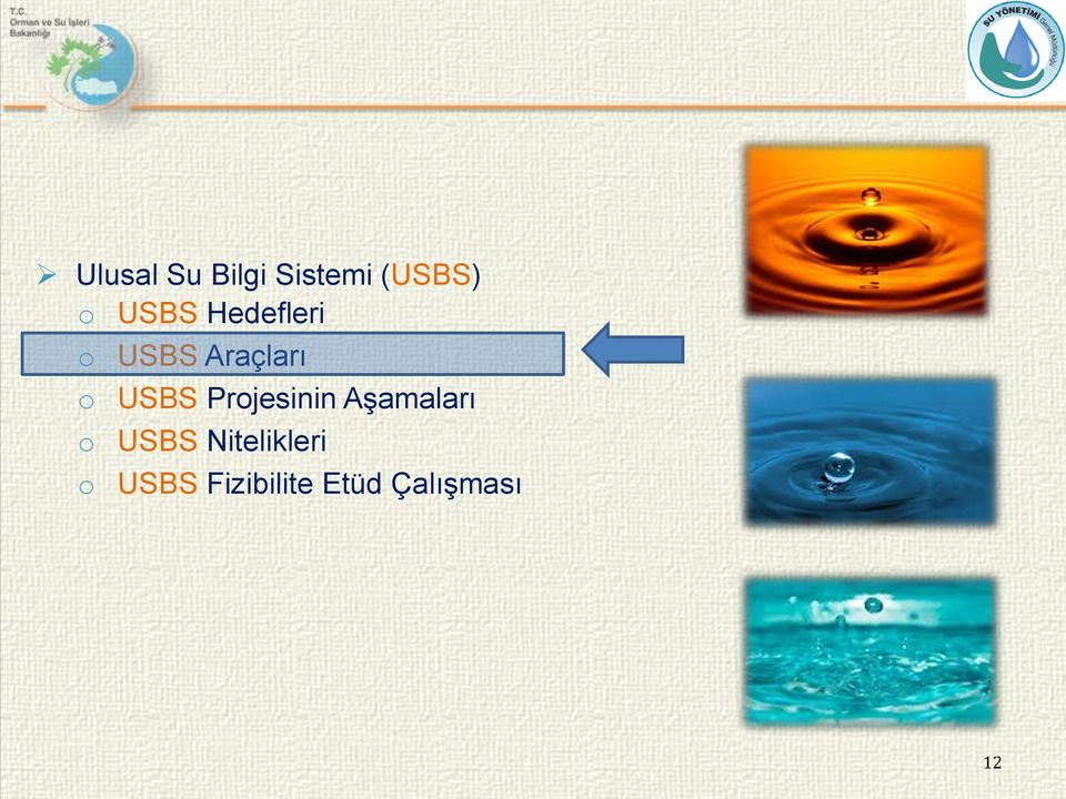 USBS Projesinin Aşamaları o USBS