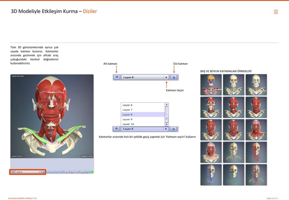 Alt katman Üst katman BAŞ VE BOYUN KATMANLARI ÖRNEKLERİ Katmanı Seçin Katmanlar arasında hızlı
