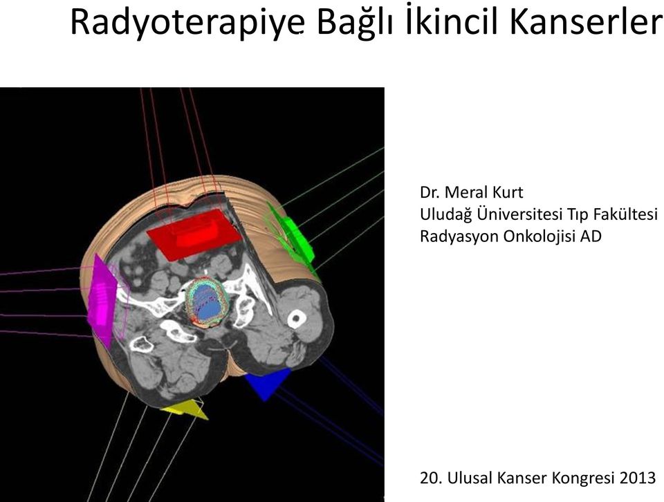 Meral Kurt Uludağ Üniversitesi Tıp