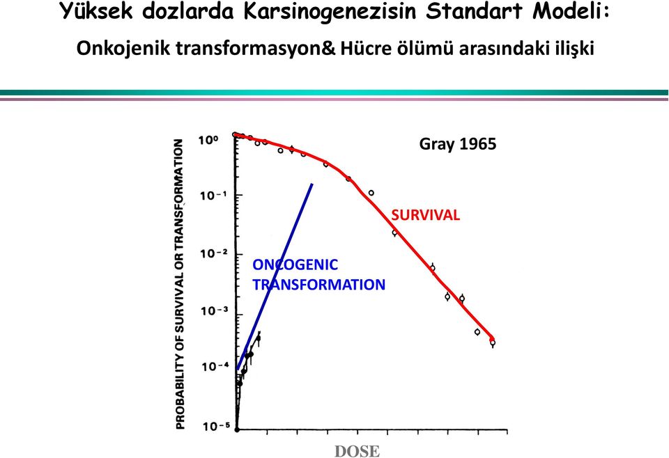 ölümü arasındaki ilişki Gray 1965 SURVIVAL