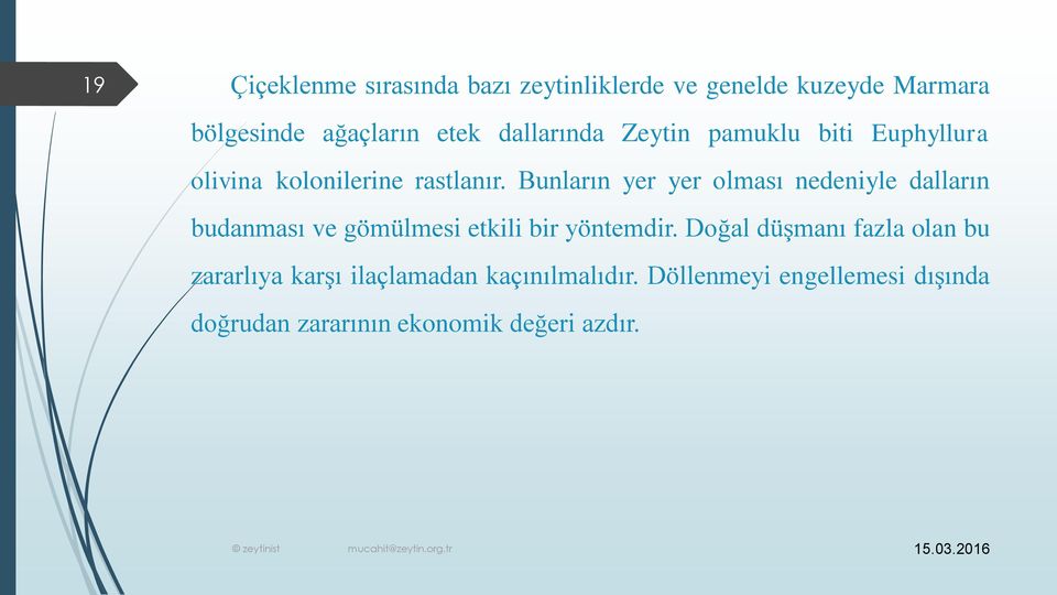 Bunların yer yer olması nedeniyle dalların budanması ve gömülmesi etkili bir yöntemdir.