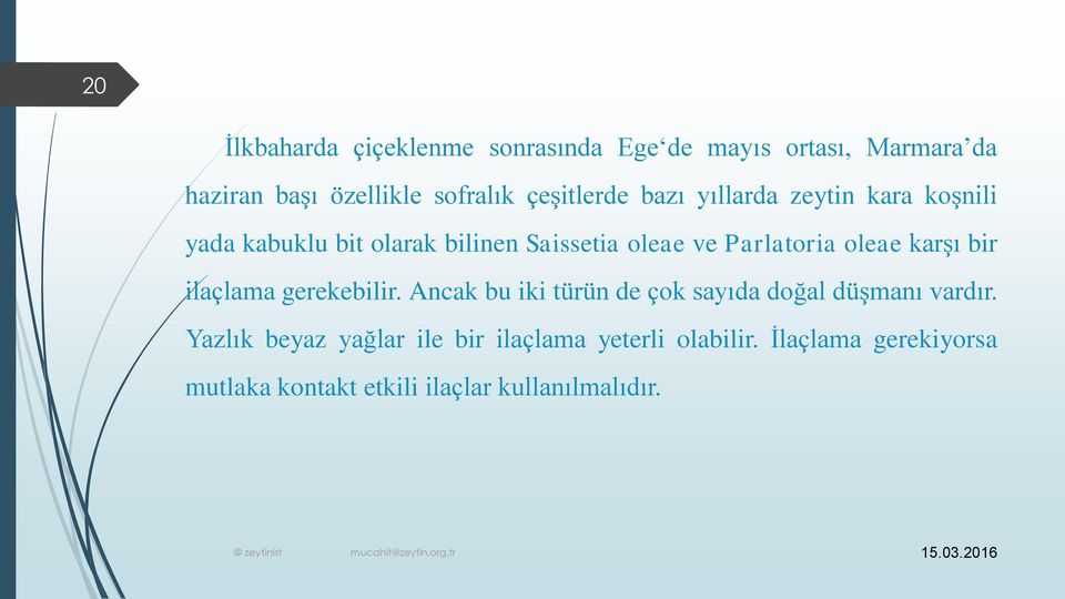 Parlatoria oleae karşı bir ilaçlama gerekebilir. Ancak bu iki türün de çok sayıda doğal düşmanı vardır.