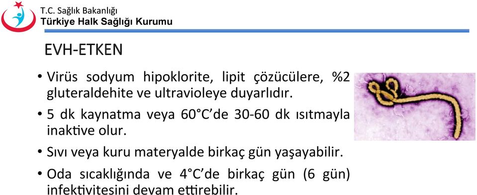 5 dk kaynatma veya 60 C de 30-60 dk ısıtmayla inaklve olur.