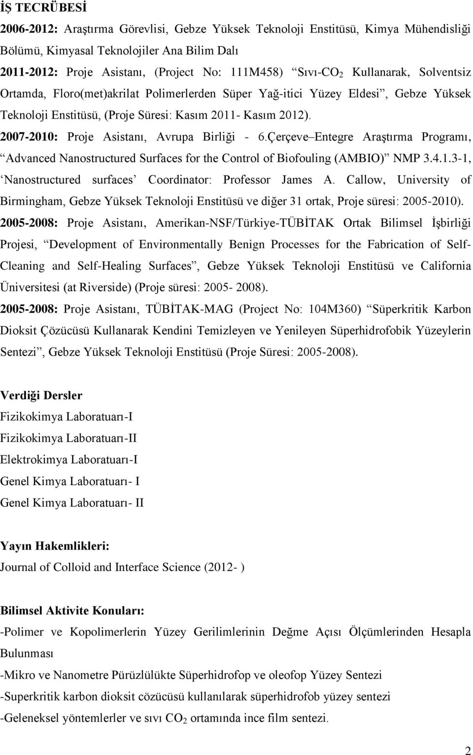 2007-2010: Proje Asistanı, Avrupa Birliği - 6.Çerçeve Entegre Araştırma Programı, Advanced Nanostructured Surfaces for the Control of Biofouling (AMBIO) NMP 3.4.1.3-1, Nanostructured surfaces Coordinator: Professor James A.