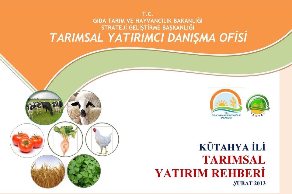 BAŞKANLIĞI TARIMSAL YATIRIMCI DANIŞMA