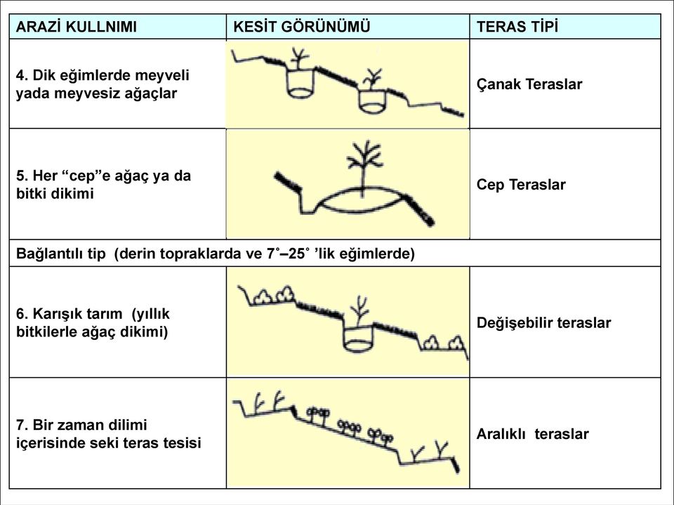 Her cep e ağaç ya da bitki dikimi Cep Teraslar Bağlantılı tip (derin topraklarda ve 7