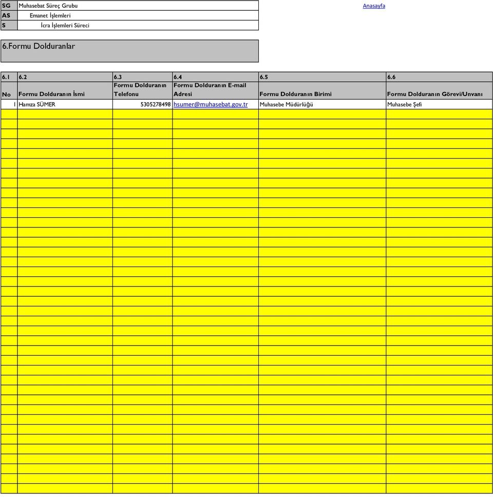 6 No Formu Dolduranın İsmi Formu Dolduranın Telefonu Formu Dolduranın E-mail