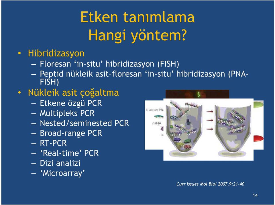 hibridizasyon (PNA- FISH) Nükleik asit çoğaltma Etkene özgü PCR Multipleks PCR