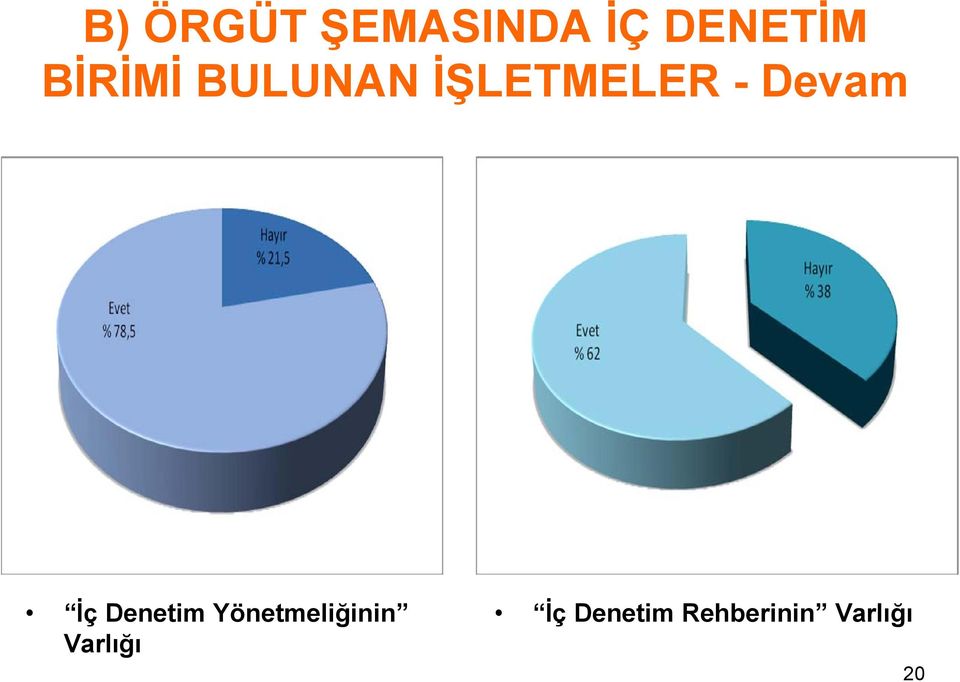 Devam İç Denetim Yönetmeliğinin