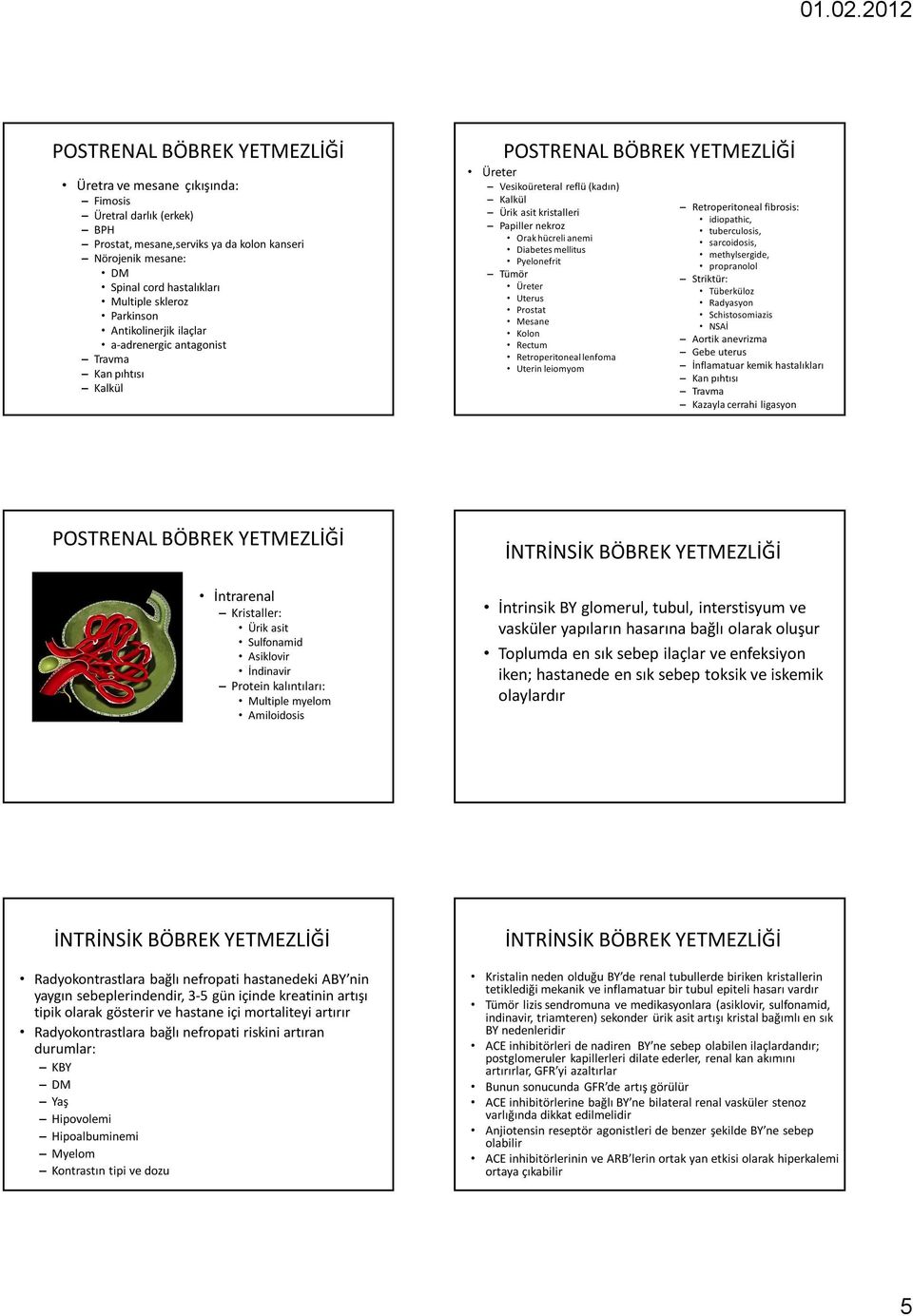 hücreli anemi Diabetes mellitus Pyelonefrit Tümör Üreter Uterus Prostat Mesane Kolon Rectum Retroperitoneal lenfoma Uterin leiomyom Retroperitoneal fibrosis: idiopathic, tuberculosis, sarcoidosis,