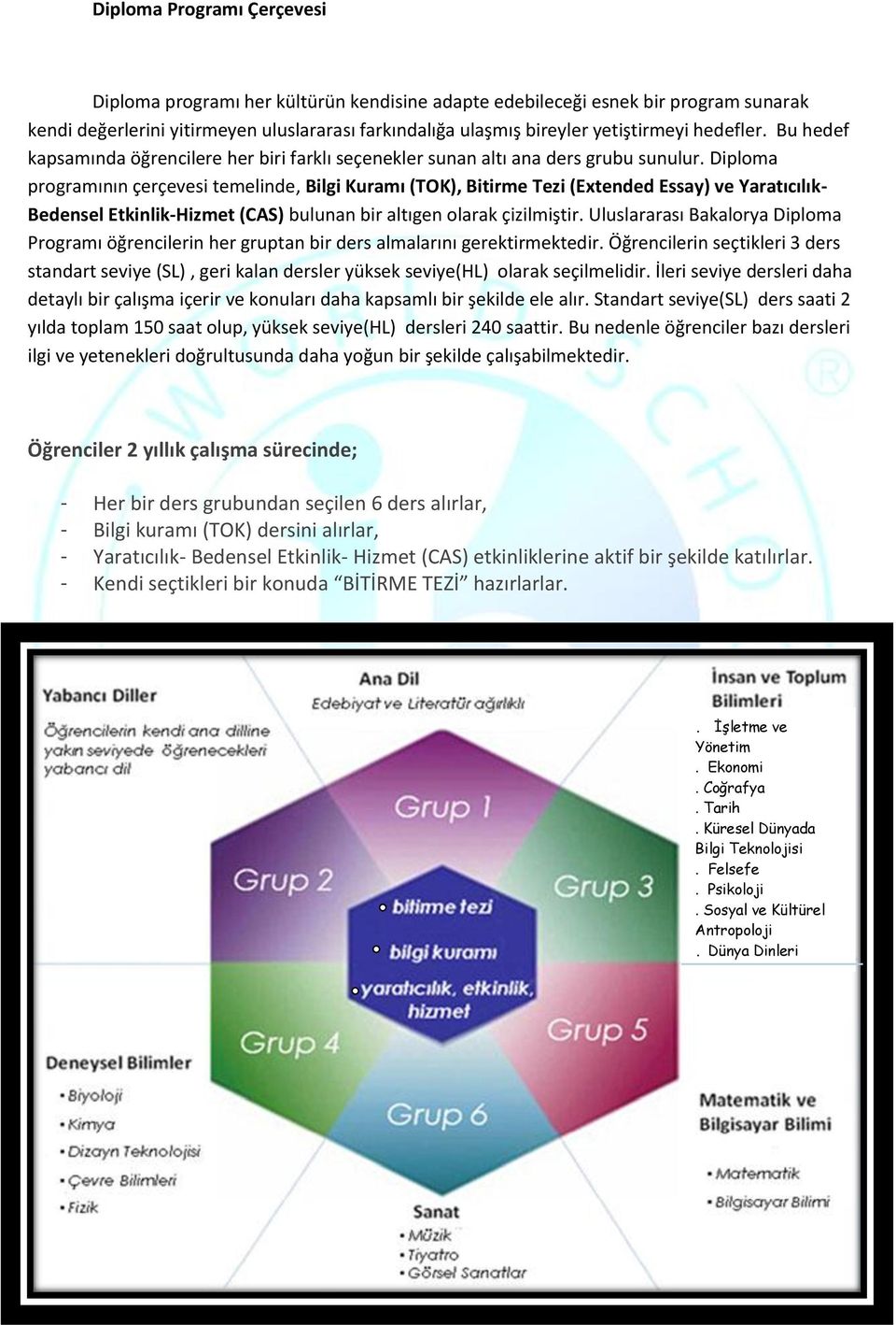 Diploma programının çerçevesi temelinde, Bilgi Kuramı (TOK), Bitirme Tezi (Extended Essay) ve Yaratıcılık- Bedensel Etkinlik-Hizmet (CAS) bulunan bir altıgen olarak çizilmiştir.