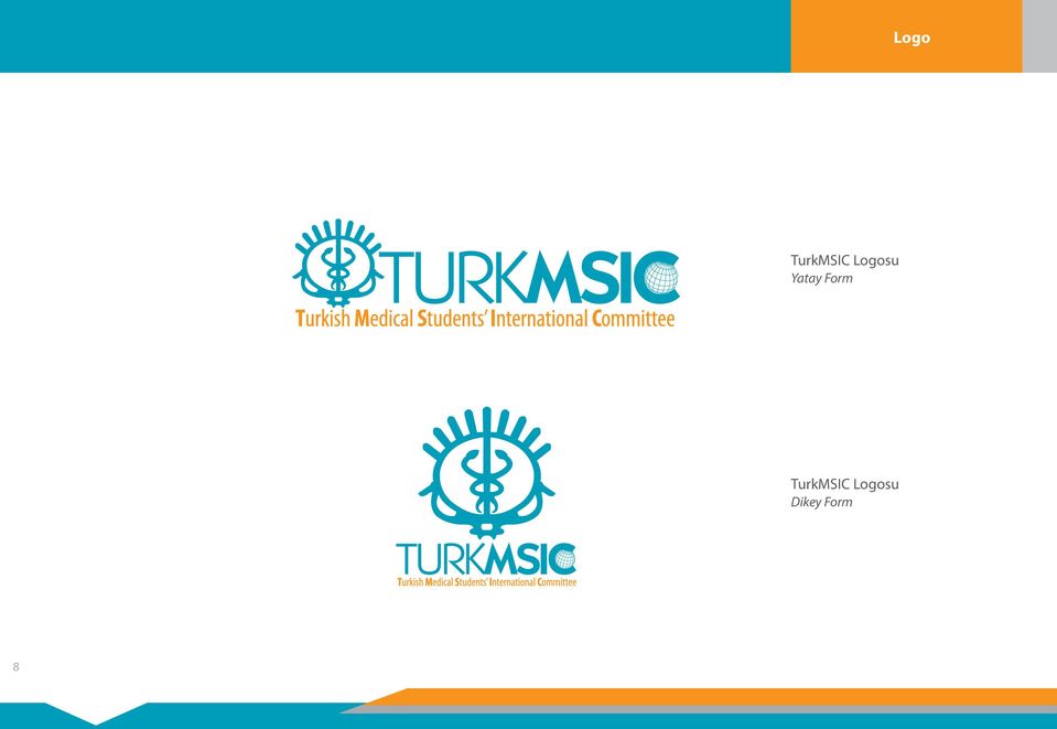 Form TurkMSIC