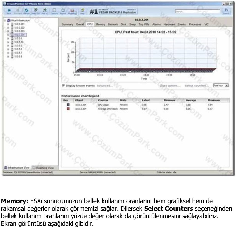 Dilersek Select Counters seçeneğinden bellek kullanım oranlarını