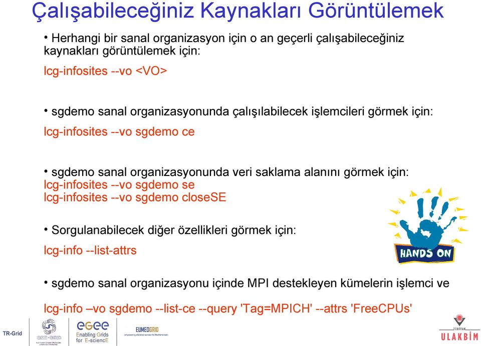 organizasyonunda veri saklama alanını görmek için: lcg-infosites --vo sgdemo se lcg-infosites --vo sgdemo closese Sorgulanabilecek diğer özellikleri