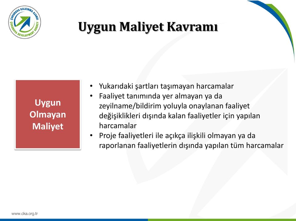 değişiklikleri dışında kalan faaliyetler için yapılan harcamalar Proje faaliyetleri