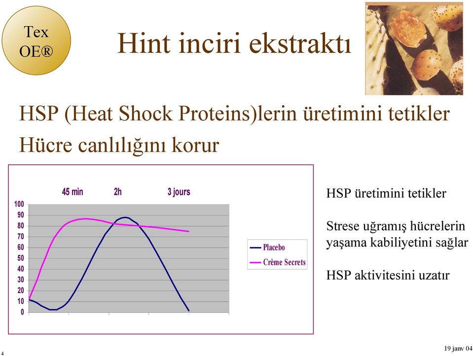 100 90 80 70 60 50 40 30 20 10 0 Placebo Crème Secrets HSP aktivitesini