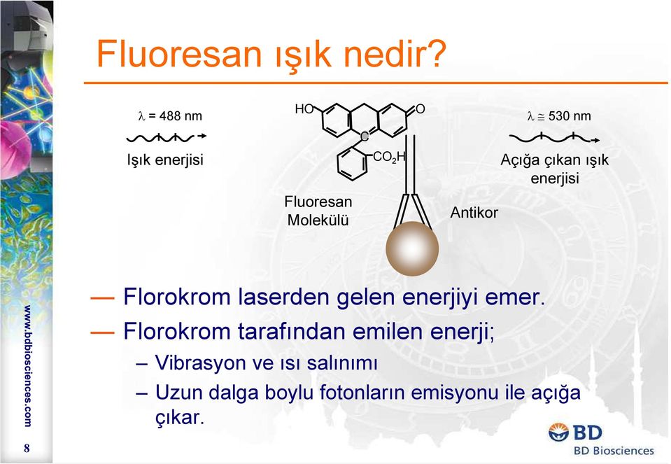 enerjisi Fluoresan Molekülü Antikor Florokrom laserden gelen enerjiyi