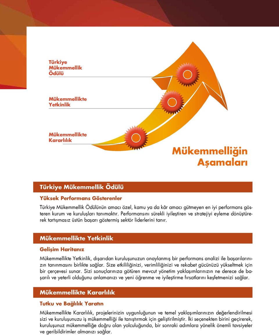 Performansını sürekli iyileştiren ve stratejiyi eyleme dönüştürerek tartışmasız üstün başarı göstermiş sektör liderlerini tanır.
