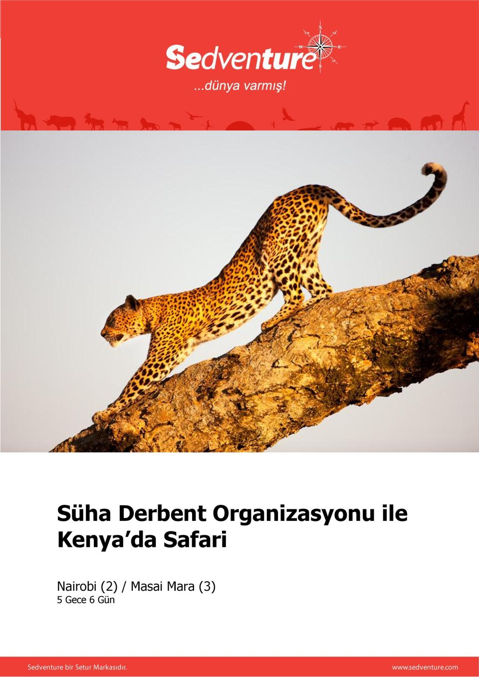 Kenya da Safari