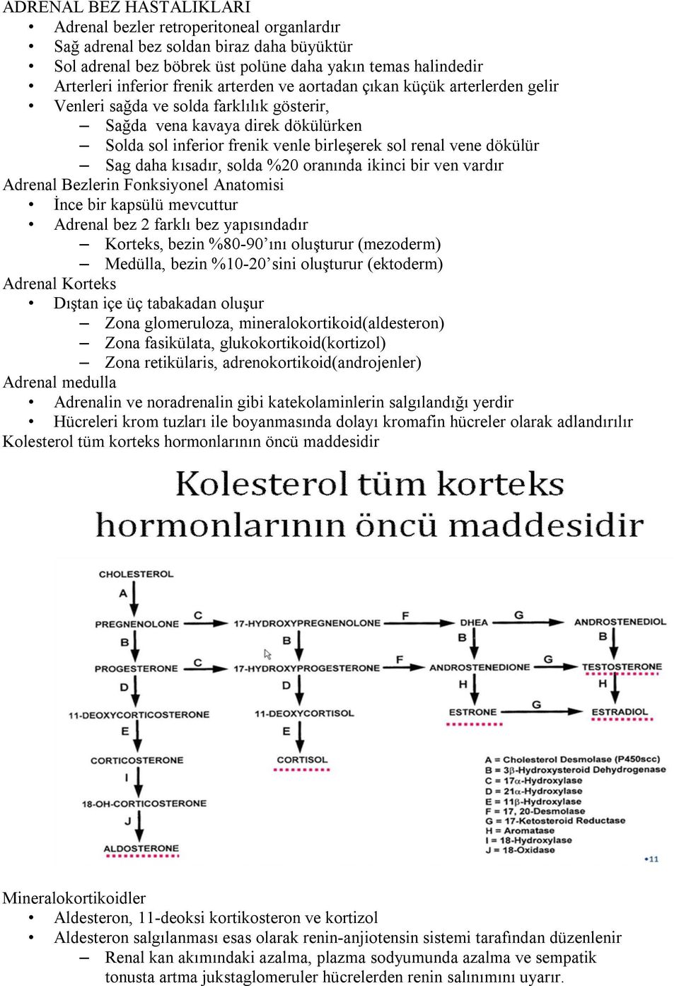 daha kısadır, solda %20 oranında ikinci bir ven vardır Adrenal Bezlerin Fonksiyonel Anatomisi İnce bir kapsülü mevcuttur Adrenal bez 2 farklı bez yapısındadır Korteks, bezin %80-90 ını oluşturur