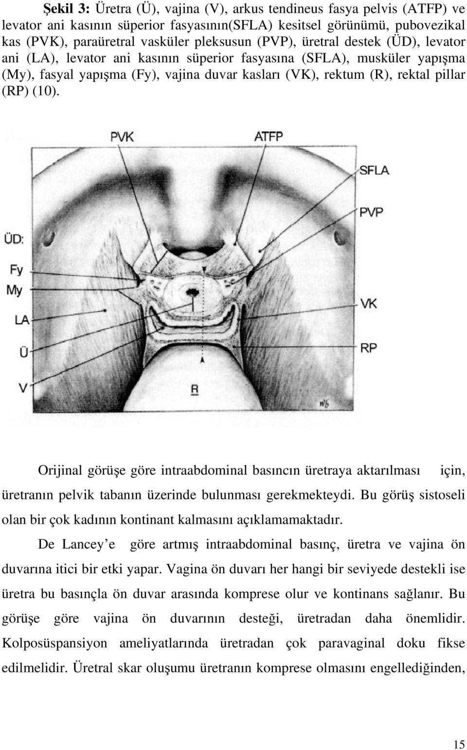 Orijinal görüe göre intraabdominal basıncın üretraya aktarılması için, üretranın pelvik tabanın üzerinde bulunması gerekmekteydi.