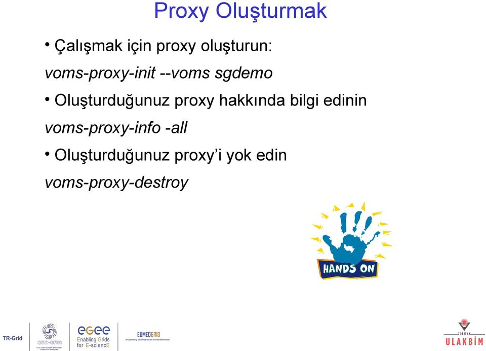 proxy hakkında bilgi edinin voms-proxy-info