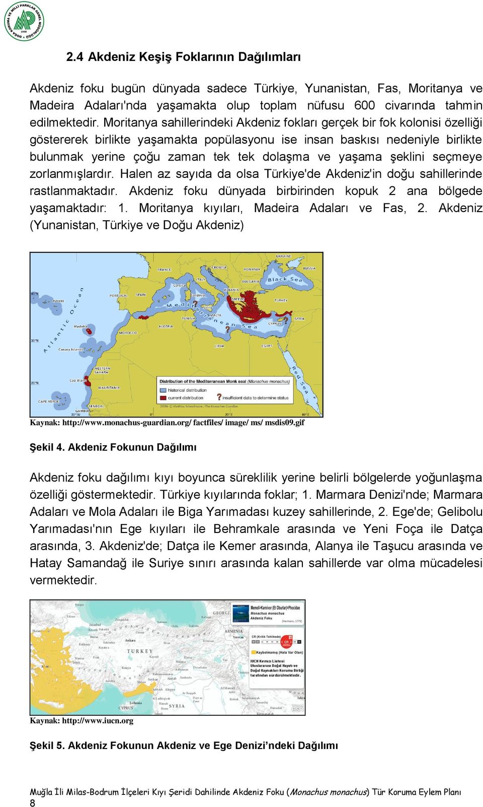 yaşama şeklini seçmeye zorlanmışlardır. Halen az sayıda da olsa Türkiye'de Akdeniz'in doğu sahillerinde rastlanmaktadır. Akdeniz foku dünyada birbirinden kopuk 2 ana bölgede yaşamaktadır: 1.
