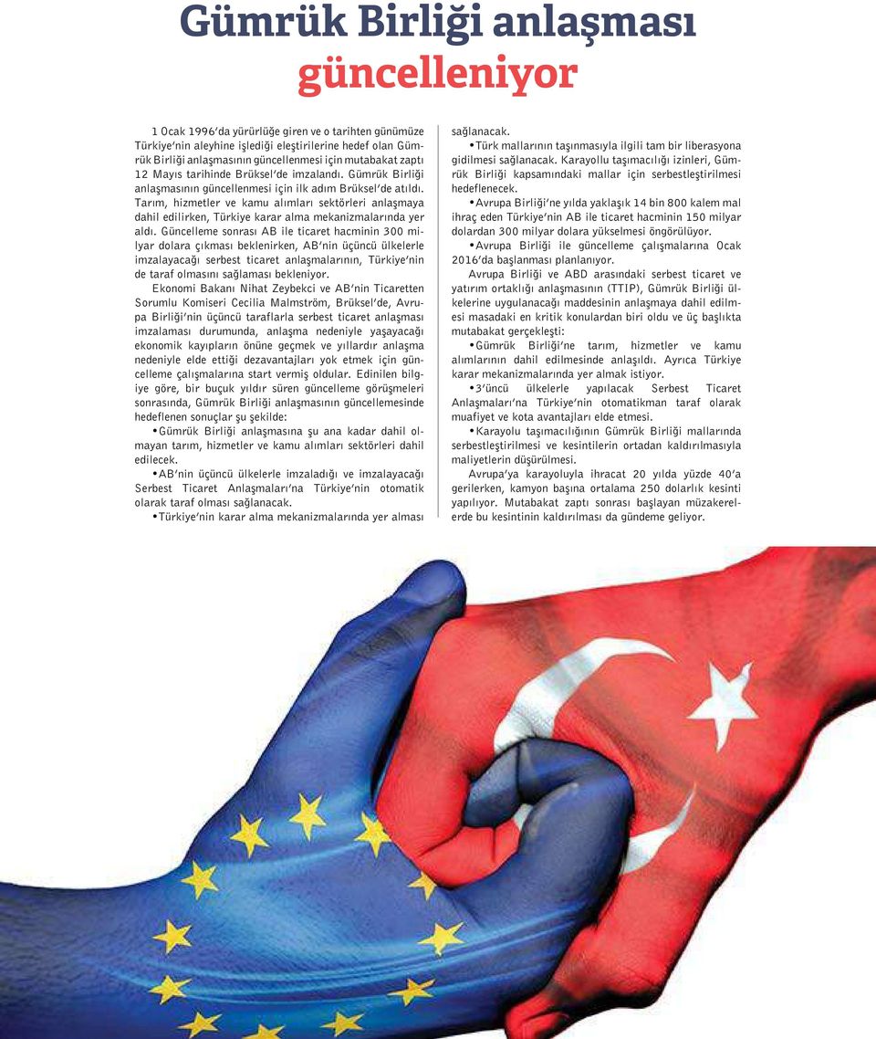 Tarım, hizmetler ve kamu alımları sektörleri anlaşmaya dahil edilirken, Türkiye karar alma mekanizmalarında yer aldı.