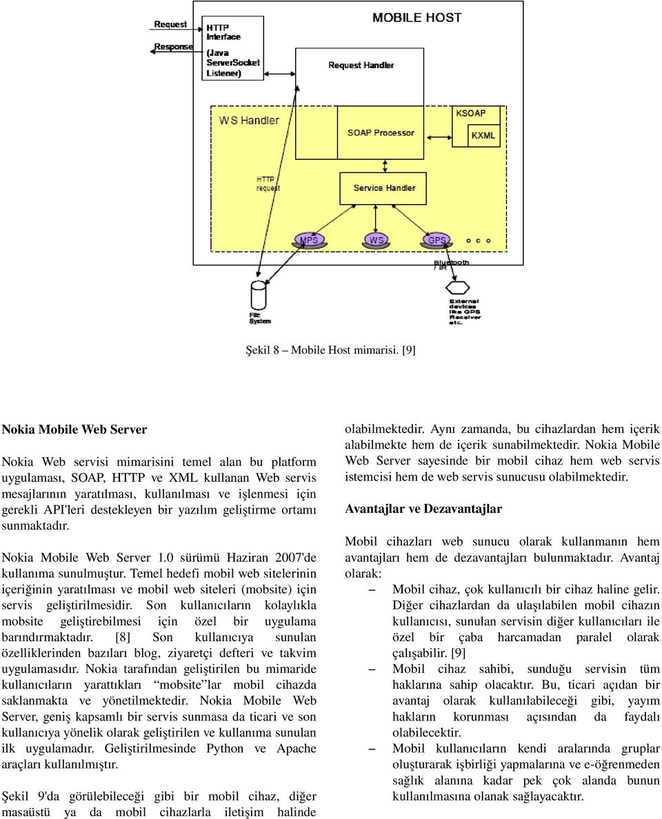 API'leri destekleyen bir yazılım geliştirme ortamı sunmaktadır. Nokia Mobile Web Server 1.0 sürümü Haziran 2007'de kullanıma sunulmuştur.