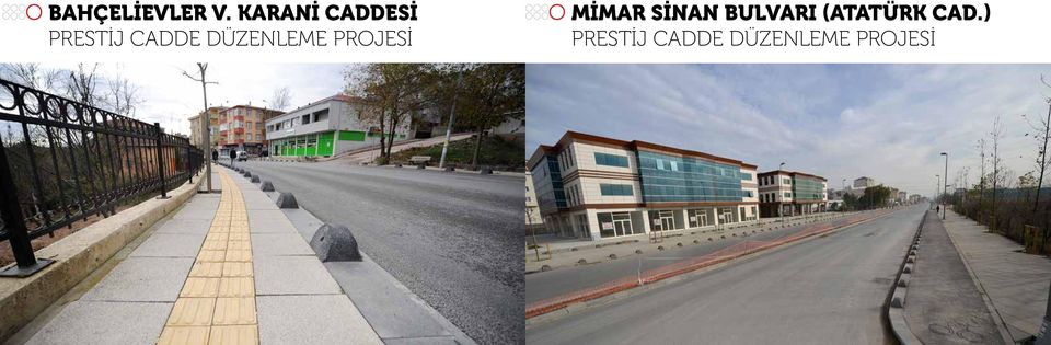 Düzenleme Projesi Mimar Sinan