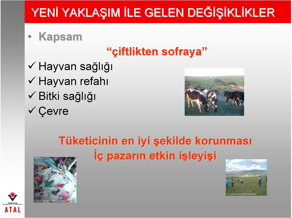 sağlığı Çevre çiftlikten sofraya Tüketicinin en