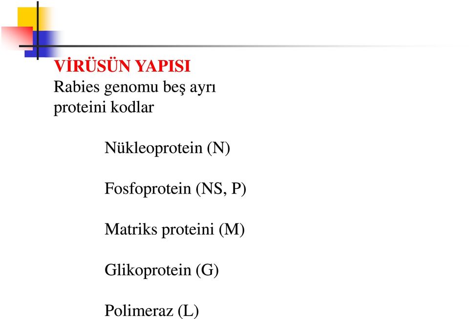 (N) Fosfoprotein (NS, P) Matriks
