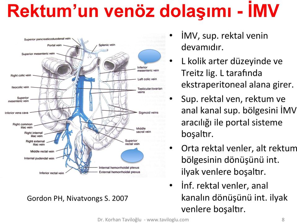 rektal ven, rektum ve anal kanal sup. bölgesini İMV aracılığı ile portal sisteme boşal`r.