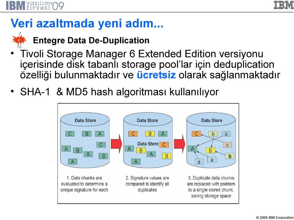 Extended Edition versiyonu içerisinde disk tabanlı storage pool lar