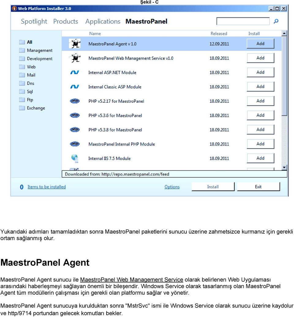 önemli bir bileşendir. Windows Service olarak tasarlanmış olan MaestroPanel Agent tüm modüllerin çalışması için gerekli olan platformu sağlar ve yönetir.