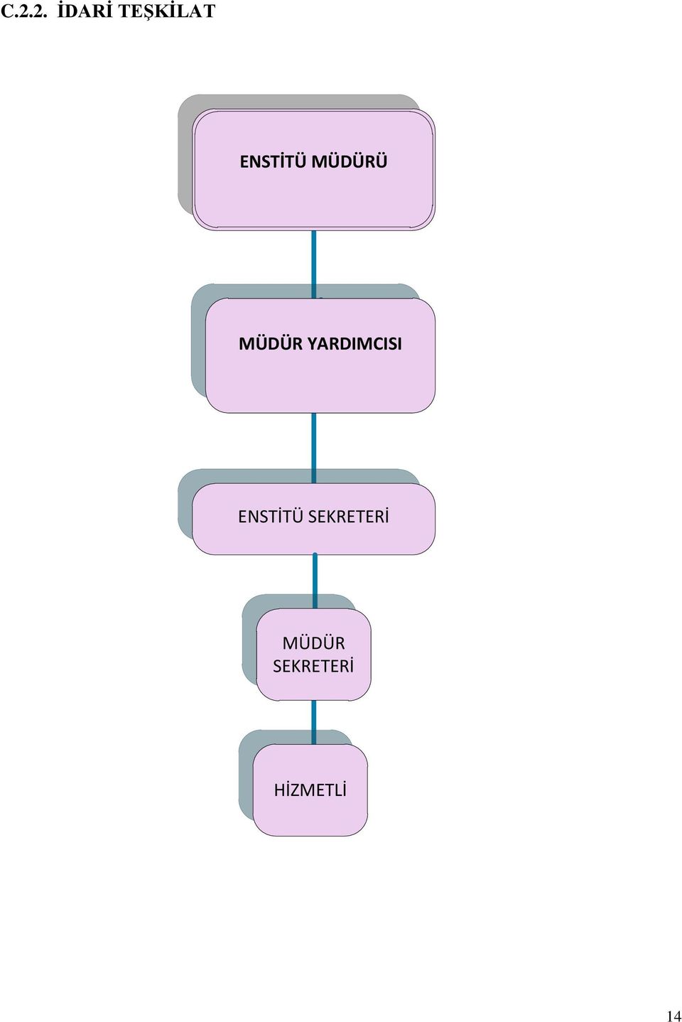 YARDIMCISI ENSTİTÜ